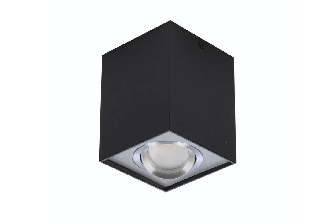 ELOY 1 BK/ALU PLAFON