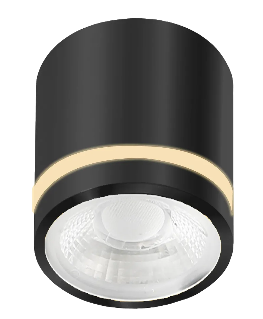 VICI IP44 12W CCT SWITCH BK