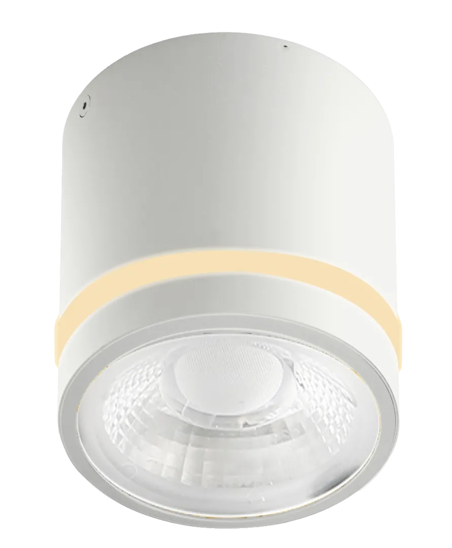 VICI IP44 12W CCT SWITCH WH